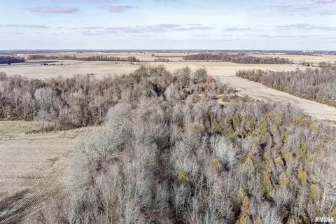 374 County Road 400 E Rd, Wayne City, IL 62895 photo 21