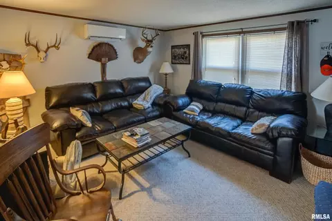 374 County Road 400 E Rd, Wayne City, IL 62895 photo 32