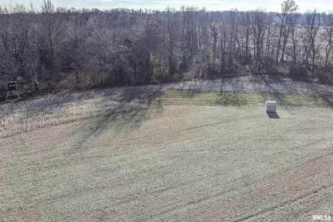 374 County Road 400 E Rd, Wayne City, IL 62895 photo 8