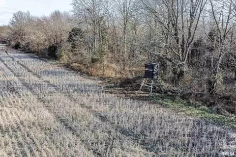 374 County Road 400 E Rd, Wayne City, IL 62895 photo 10