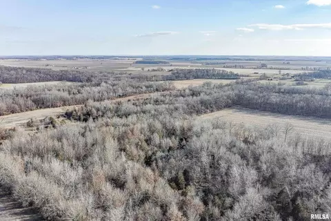 374 County Road 400 E Rd, Wayne City, IL 62895 photo 13