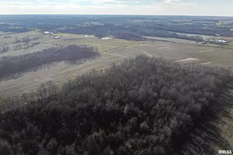 374 County Road 400 E Rd, Wayne City, IL 62895 photo 4