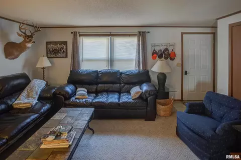 374 County Road 400 E Rd, Wayne City, IL 62895 photo 33