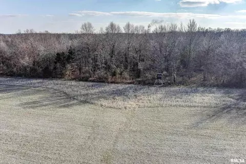 374 County Road 400 E Rd, Wayne City, IL 62895 photo 9