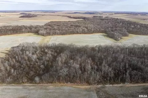 374 County Road 400 E Rd, Wayne City, IL 62895 photo 7