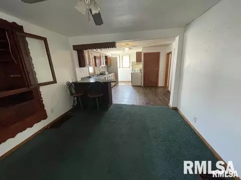 305 W Kell St, Centralia, IL 62801 photo 34