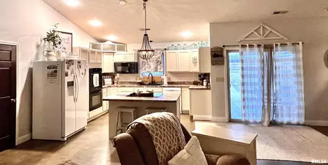 13496 Davidson Rd, Marion, IL 62959 photo 4