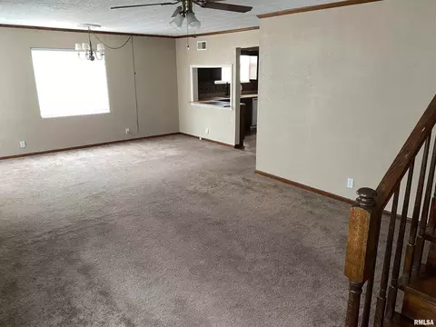 1015 E 3rd St, Centralia, IL 62801 photo 5