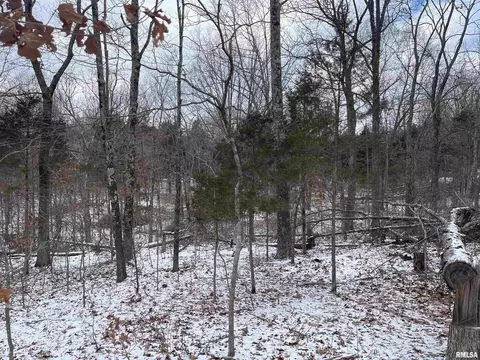 000 Recreation Rd, Ozark, IL 62972 photo 41