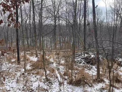 000 Recreation Rd, Ozark, IL 62972 photo 31