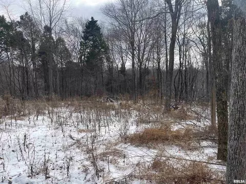 000 Recreation Rd, Ozark, IL 62972 photo 28