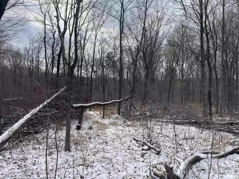 000 Recreation Rd, Ozark, IL 62972 photo 30