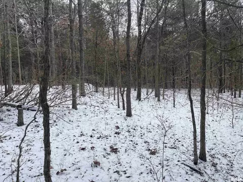 000 Recreation Rd, Ozark, IL 62972 photo 26