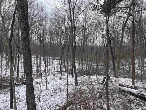 000 Recreation Rd, Ozark, IL 62972 photo 37