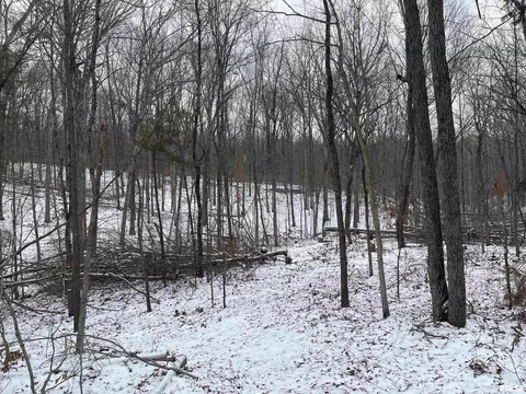 000 Recreation Rd, Ozark, IL 62972 photo 39