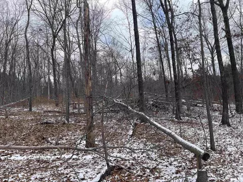 000 Recreation Rd, Ozark, IL 62972 photo 34