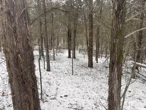 000 Recreation Rd, Ozark, IL 62972 photo 25