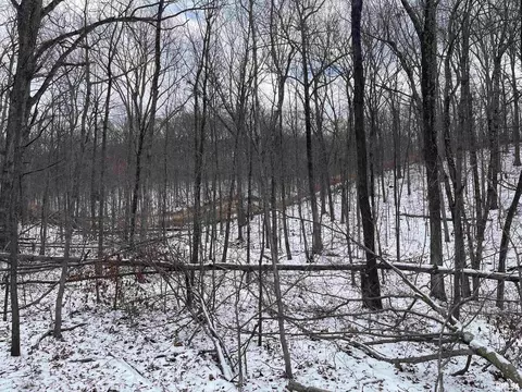 000 Recreation Rd, Ozark, IL 62972 photo 38