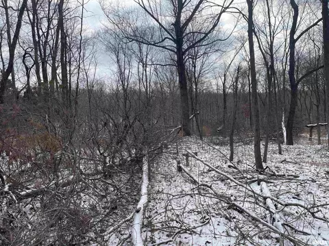 000 Recreation Rd, Ozark, IL 62972 photo 29