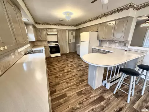 308 Montgomery Cirs, Carmi, IL 62821 photo 6
