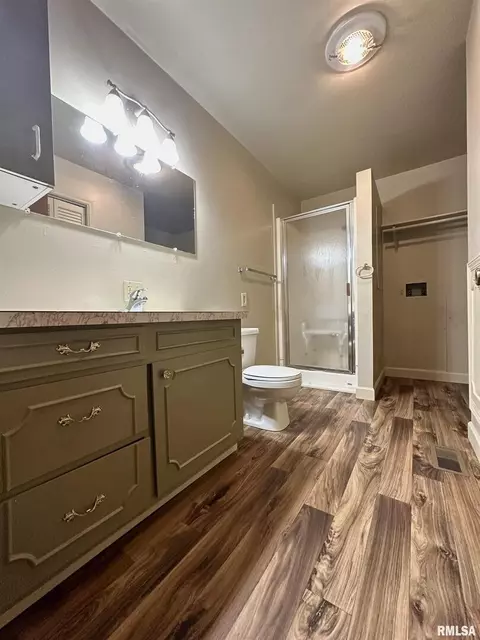 308 Montgomery Cirs, Carmi, IL 62821 photo 10