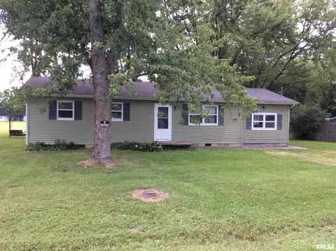 10 Mitchell Dr, Wayne City, IL 62895 photo 13