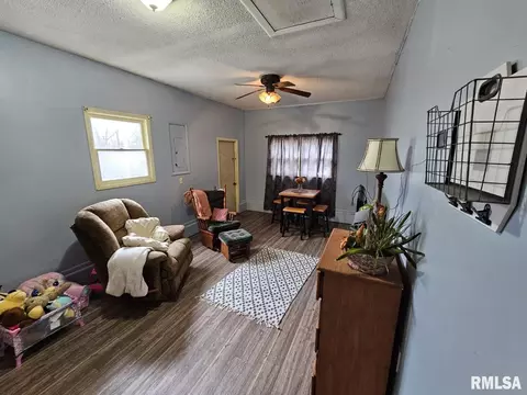 10 Mitchell Dr, Wayne City, IL 62895 photo 8
