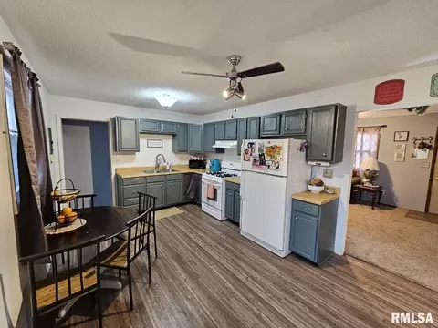10 Mitchell Dr, Wayne City, IL 62895 photo 11