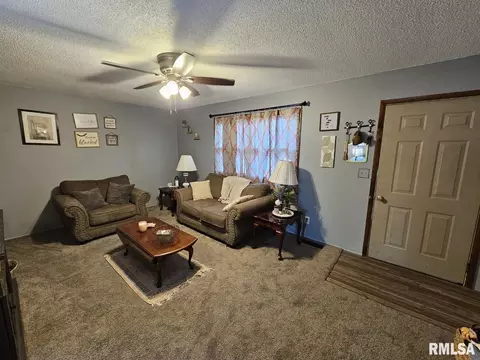 10 Mitchell Dr, Wayne City, IL 62895 photo 2
