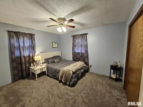 10 Mitchell Dr, Wayne City, IL 62895 photo 3