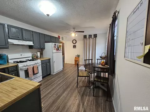 10 Mitchell Dr, Wayne City, IL 62895 photo 10