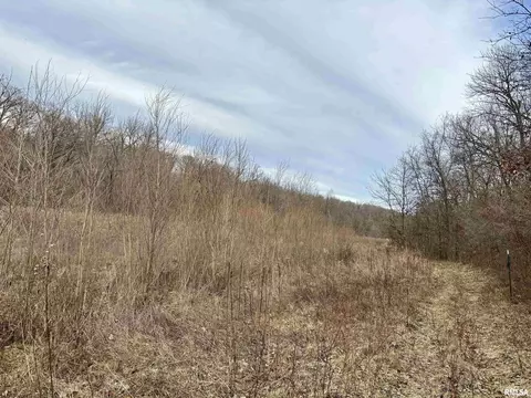 1967 Stringtown Rd, Sorento, IL 62086 photo 35