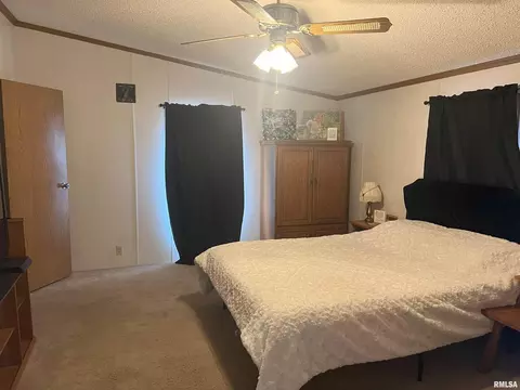 4321 State Route 161 Hwy, Kell, IL 62853 photo 11