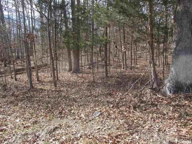 0000 N Lake Shore Dr, Goreville, IL 62939