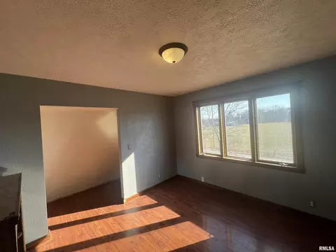 365 Snider Dr, Percy, IL 62272 photo 3