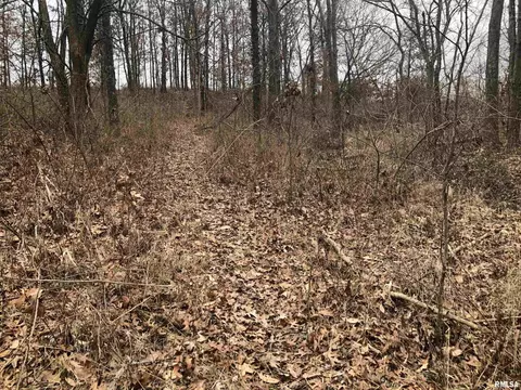 000 Palmetto Dr, Xenia, IL 62899