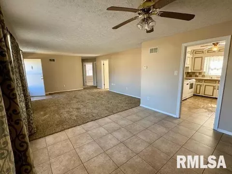 9 Mitchell Ave, Centralia, IL 62801 photo 4