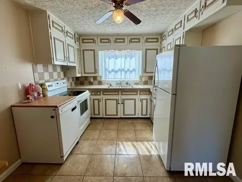 9 Mitchell Ave, Centralia, IL 62801 photo 6