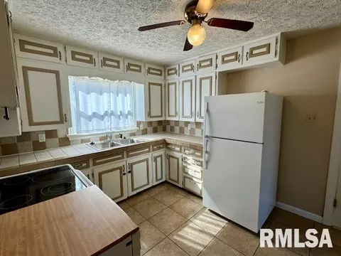 9 Mitchell Ave, Centralia, IL 62801 photo 5