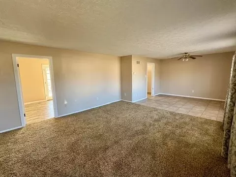 9 Mitchell Ave, Centralia, IL 62801 photo 3