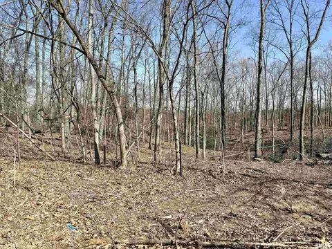 000 Burge Rd, Centralia, IL 62801 photo 8