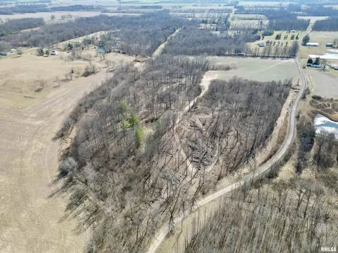 000 Burge Rd, Centralia, IL 62801 photo 4