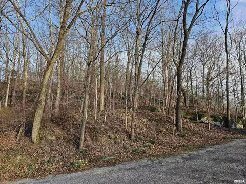 000 Rocky Rd, Makanda, IL 62958 photo 3