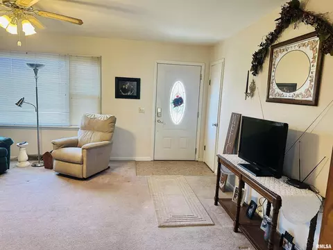 101 Turner Ave, Anna, IL 62906 photo 9