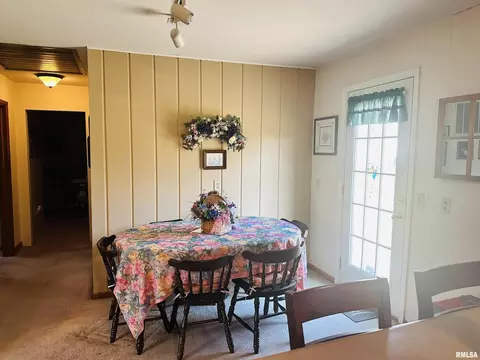 101 Turner Ave, Anna, IL 62906 photo 7