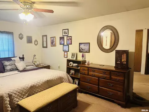 101 Turner Ave, Anna, IL 62906 photo 16