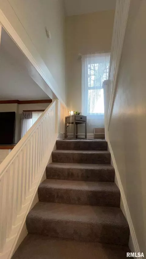 308 W Cherry Ave, Christopher, IL 62822 photo 20