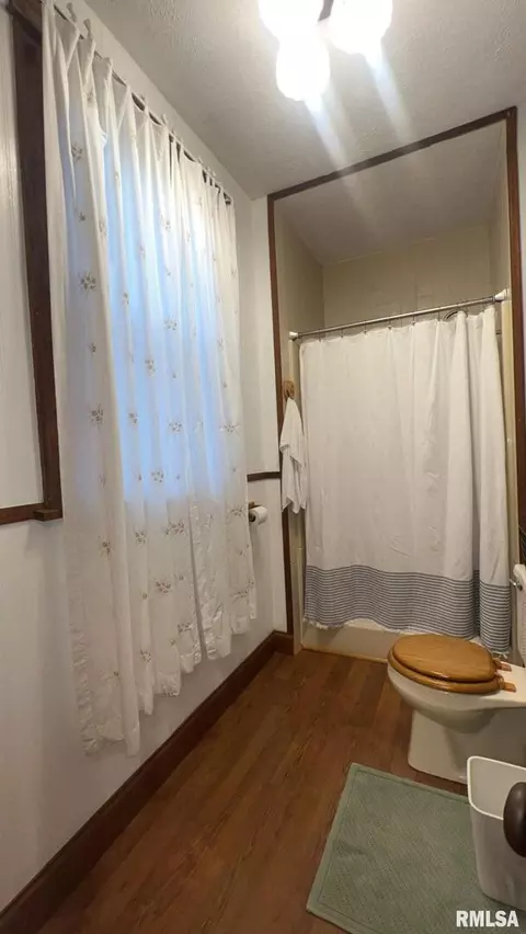 308 W Cherry Ave, Christopher, IL 62822 photo 17