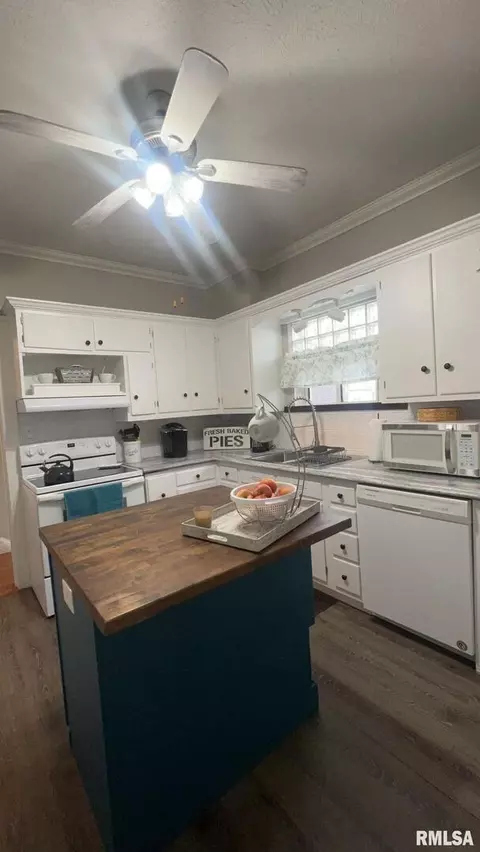 308 W Cherry Ave, Christopher, IL 62822 photo 13