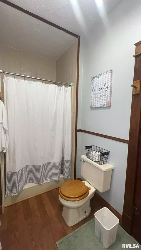 308 W Cherry Ave, Christopher, IL 62822 photo 15
